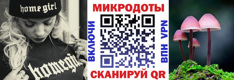 закладки  Саки  Псилоцибиновые грибы мухоморы 